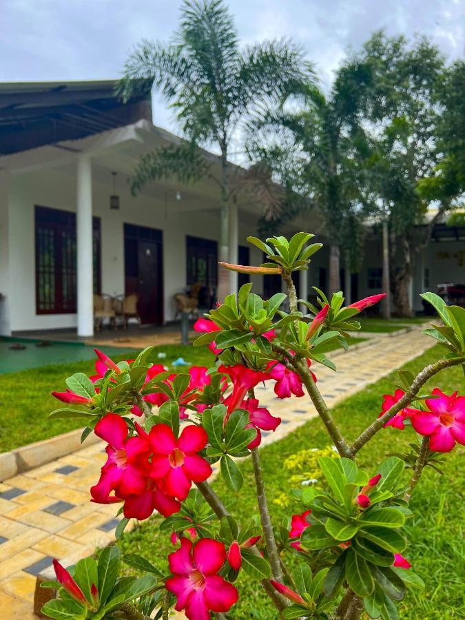 Sigiriya Green Garden Homestay Dış mekan fotoğraf